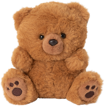 A Stuffed Teddy Bear